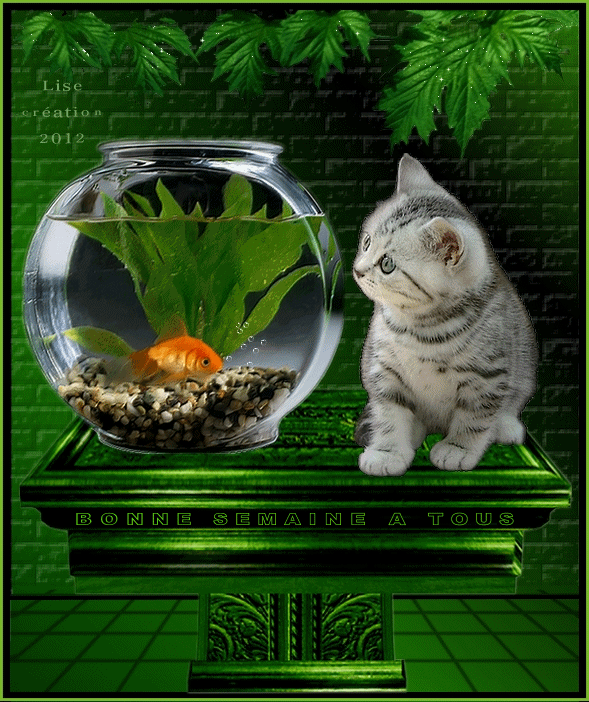 Kit Peinture Par Numéros 'Le Chat Et Le Poisson' - 16 Couleurs Beaux-Arts - Adultes, Made In France